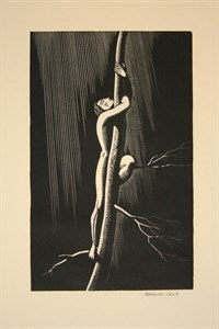 Image description is not available for DU1946.265